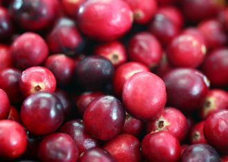 蔓越莓:不神奇的“神奇小浆果”