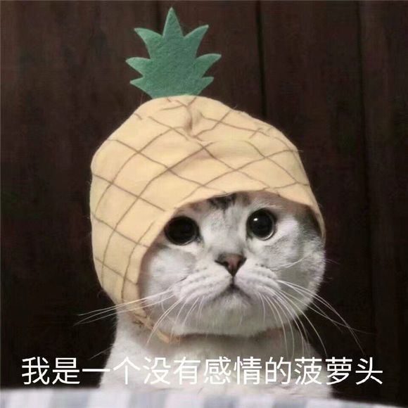 从《红楼梦》里的三个小人物,看底层人物的生存大智慧