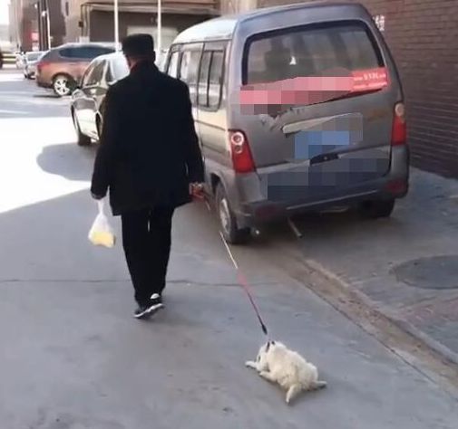 狗狗赖在地上不走,老汉直接拖着前进,网友:不会养,就不要养!
