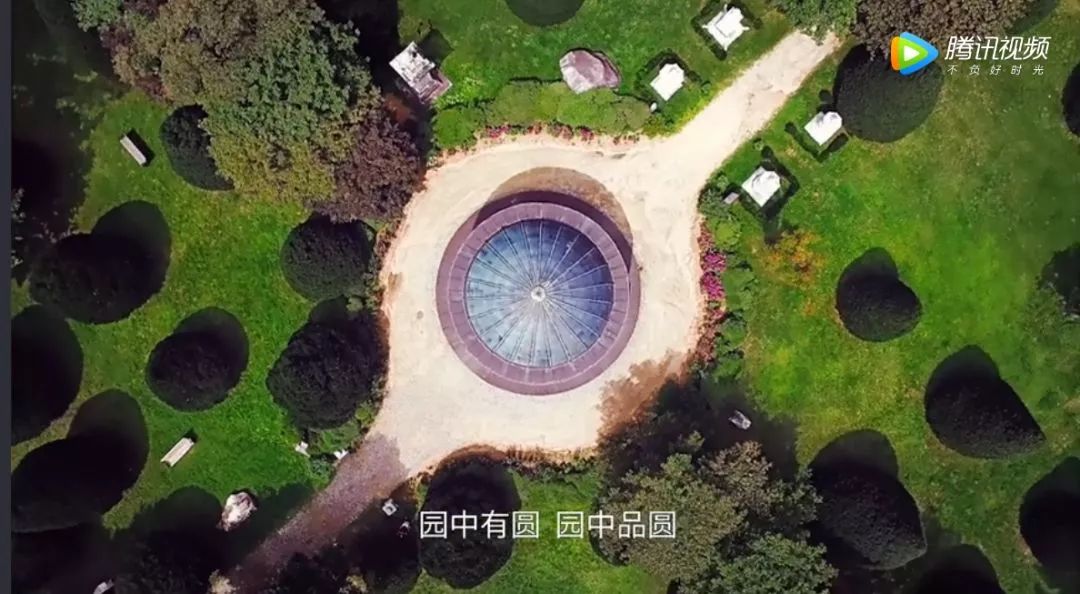 河北沙河:郁金香盛开