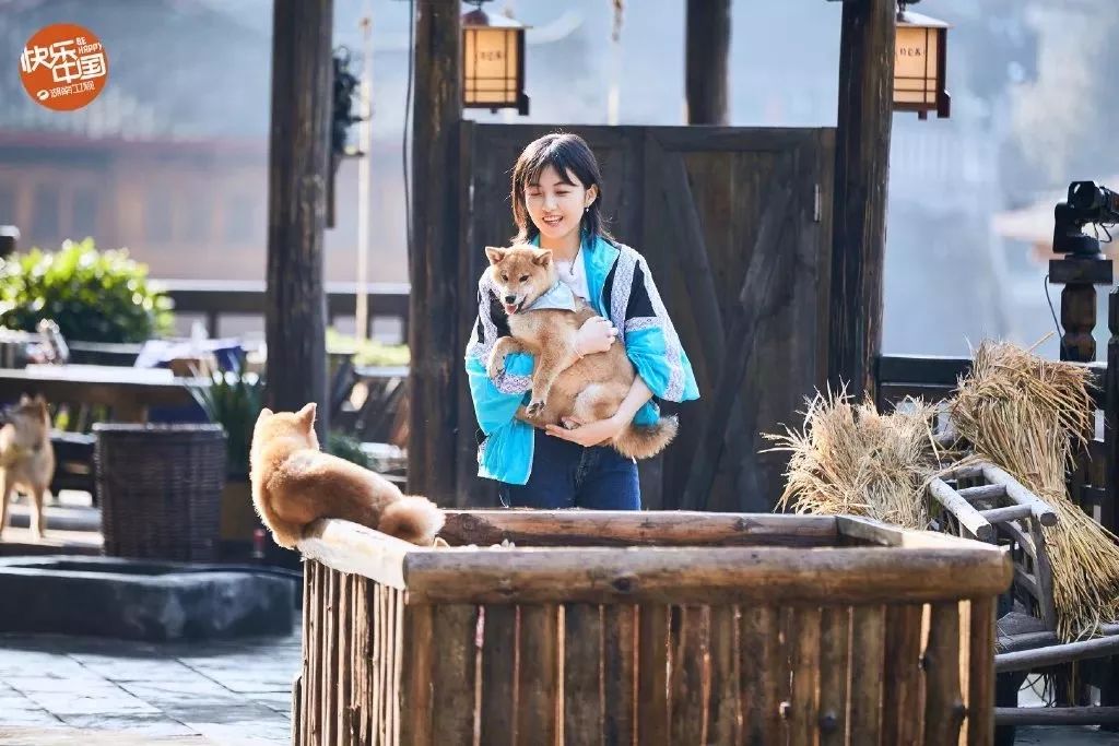 张子枫常驻《向往的生活》啦!是什么让黄磊和彭昱畅都疼她