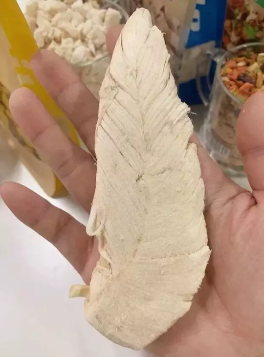英国一女子变为素食者后,也不让狗狗吃肉了…