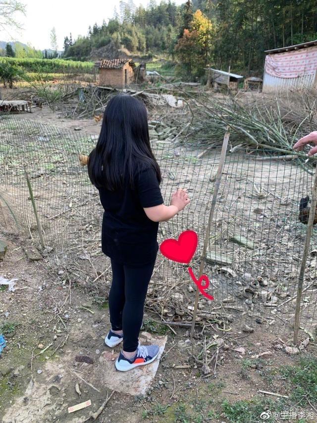 李湘带女儿下乡,王诗龄田里活蹦乱跳,身形纤瘦变大姑娘