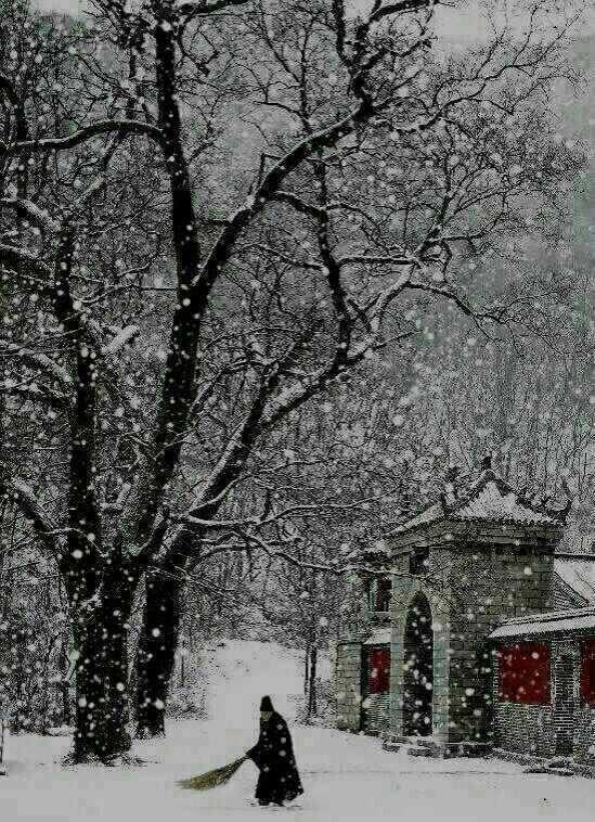唐代诗人一首写雪的古诗,只有20个字,却描出最寂寥阴冷的境界