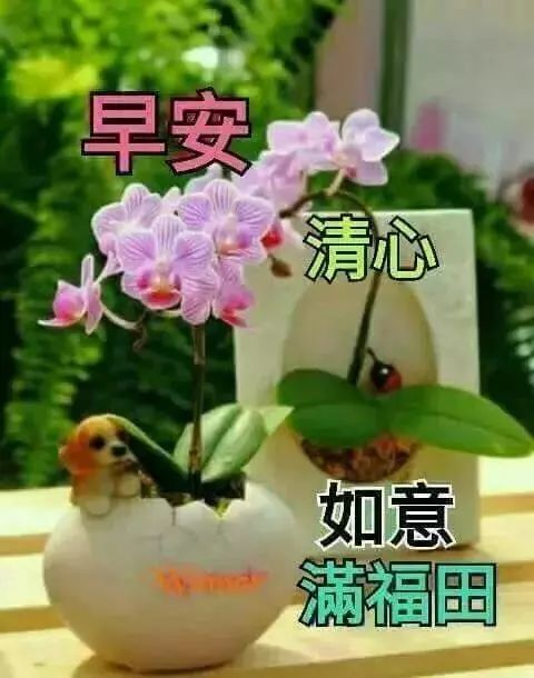 5月12日周日群发早上好问候祝福动态表情图片 母亲节最美早晨好问候表情动态图片