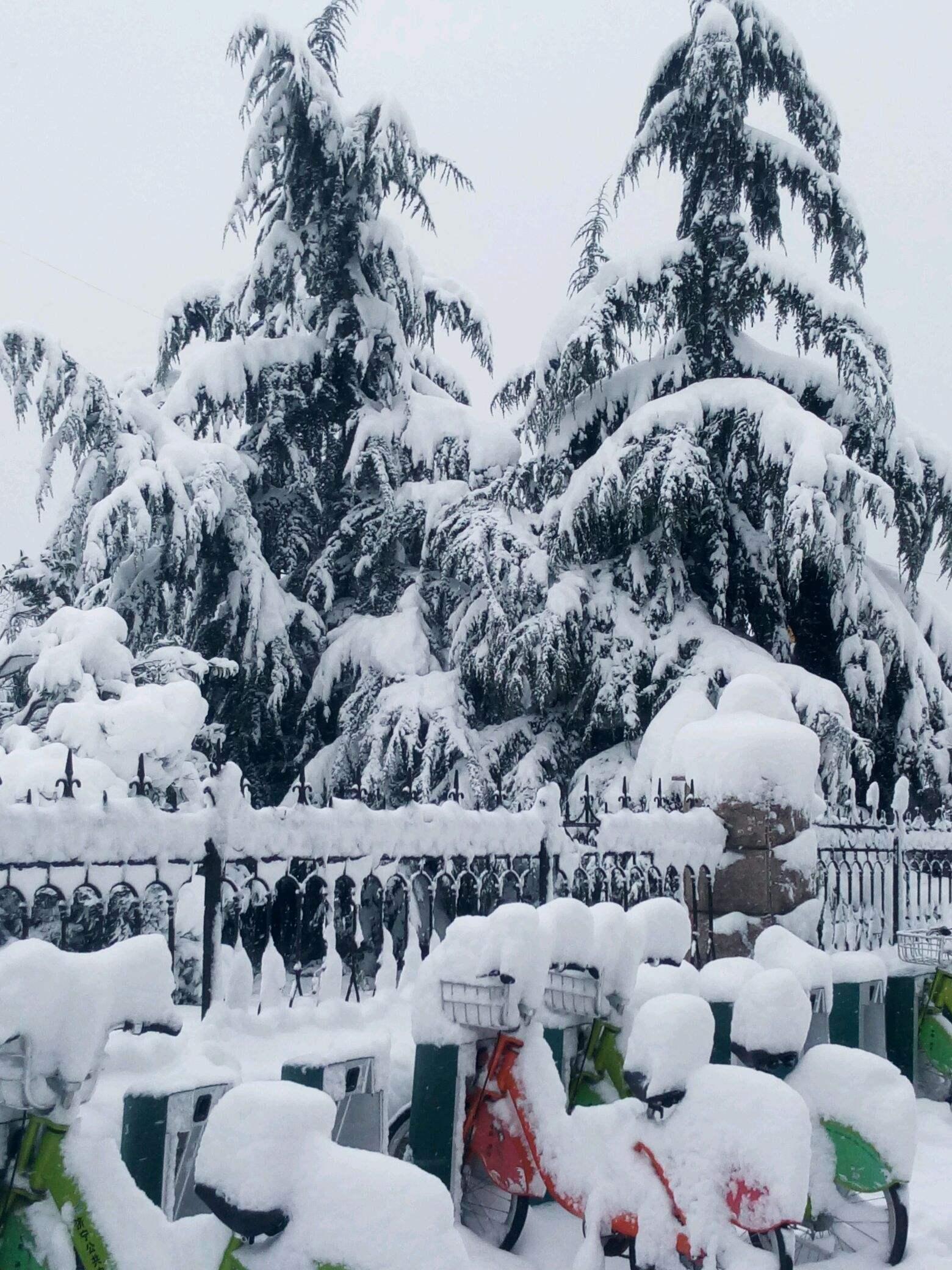 唐代诗人一首写雪的古诗,只有20个字,却描出最寂寥阴冷的境界