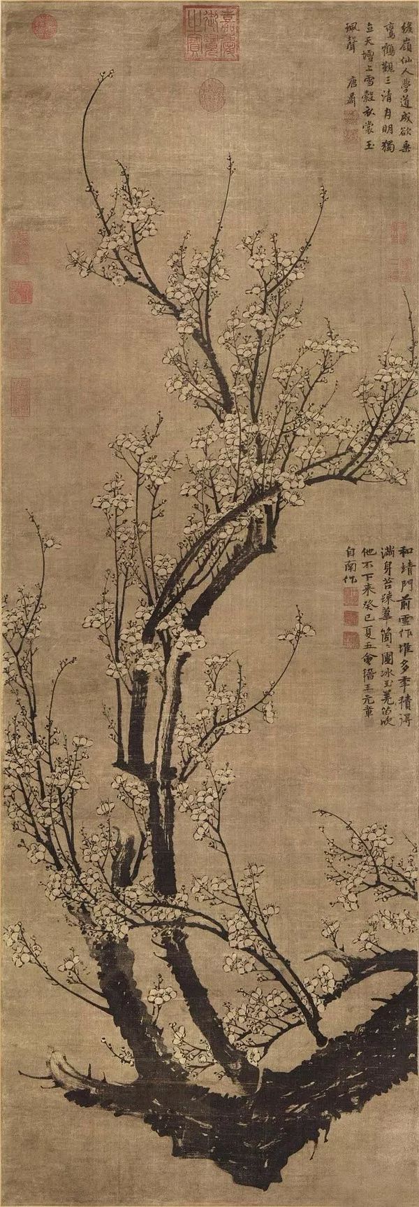 品读古人寄情花鸟的诗性之美,史上最全花鸟画集锦