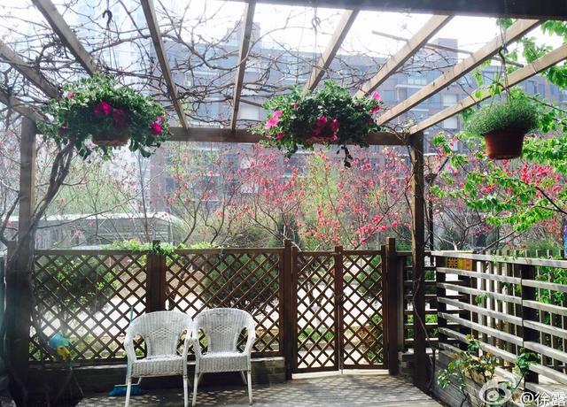 她因接手蒋勤勤辞演的可云走红,有悲情公主之称,今43岁风韵犹存