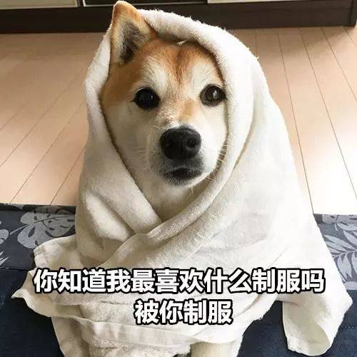 举报!林峯阿SA穿制服谈恋爱,《机动部队》又甜又硬核