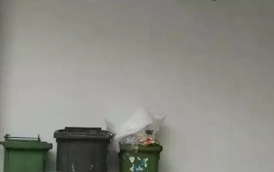 他放弃央美教师工作,选择“不务正业”,却四次刷新吉尼斯纪录,成为中国3D绘画第一人!