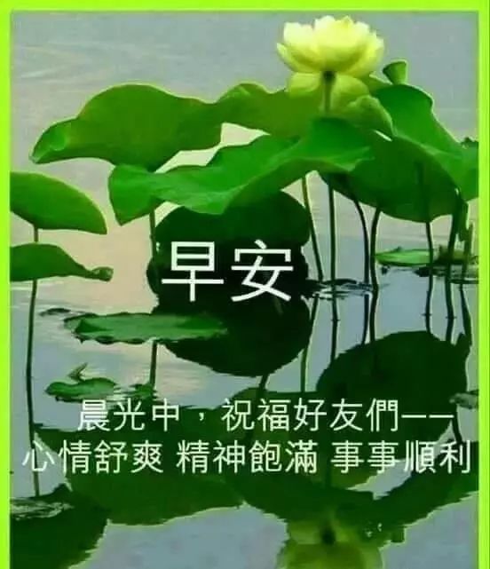 5月12日周日群发早上好问候祝福动态表情图片 母亲节最美早晨好问候表情动态图片