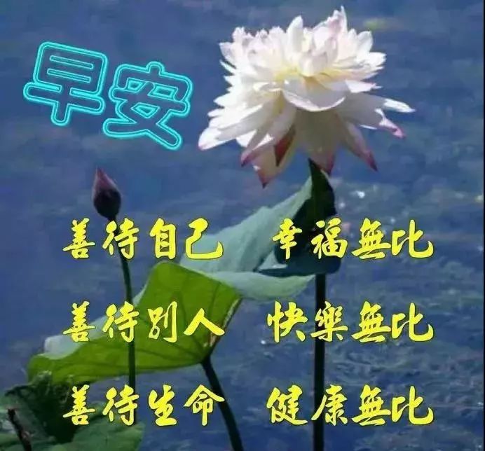 5月12日周日群发早上好问候祝福动态表情图片 母亲节最美早晨好问候表情动态图片