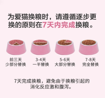 幼猫成长关键期,猫粮应该怎么选?
