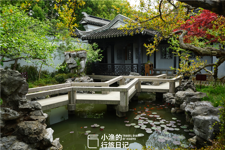 2500年古镇藏30多座私家园林?江南唯一!连乾隆皇帝都魂牵梦萦