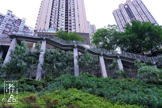 重庆首个悬空栈道公园,因太“惊悚”而人迹罕至,错过提示后悔不已
