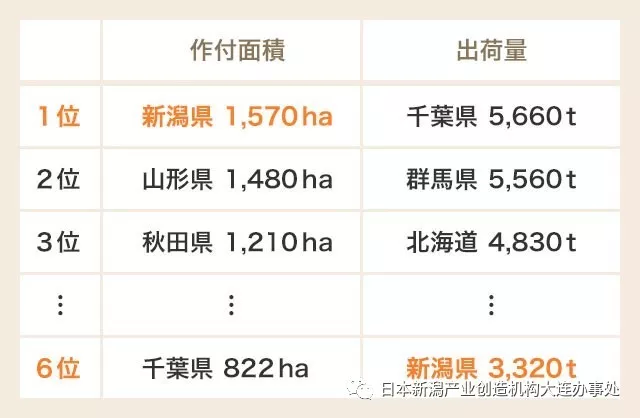 日本旅游美食攻略:夏天去新潟避暑,当地人用这些美食伺候