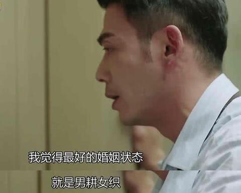 最好的婚姻状态是男耕女织!刘涛却没有认同杨烁的观念