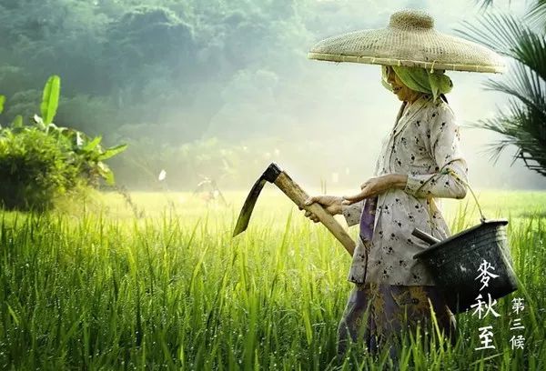 今日小满:最好人生是小满,花未全开月未圆