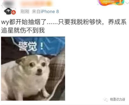 “正能量偶像”的人设一旦崩塌,就是大型脱粉现场……