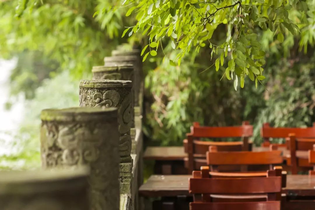 今日小满:最好人生是小满,花未全开月未圆