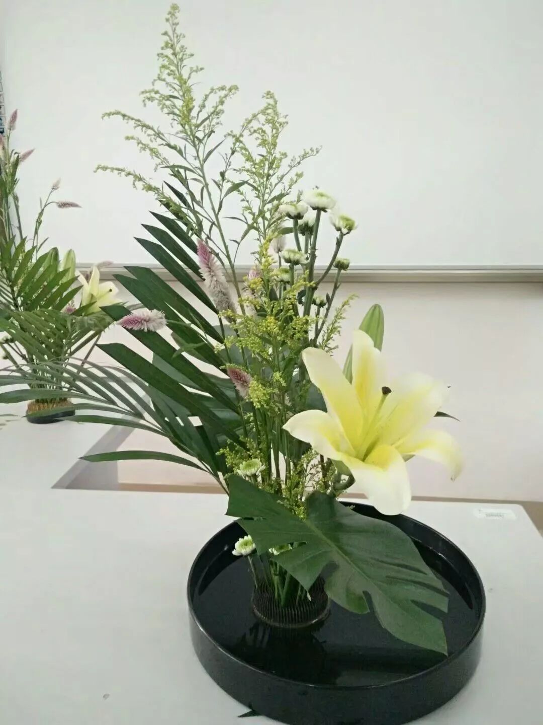 都9102年了,你还不知道海师大有这样的博物馆!