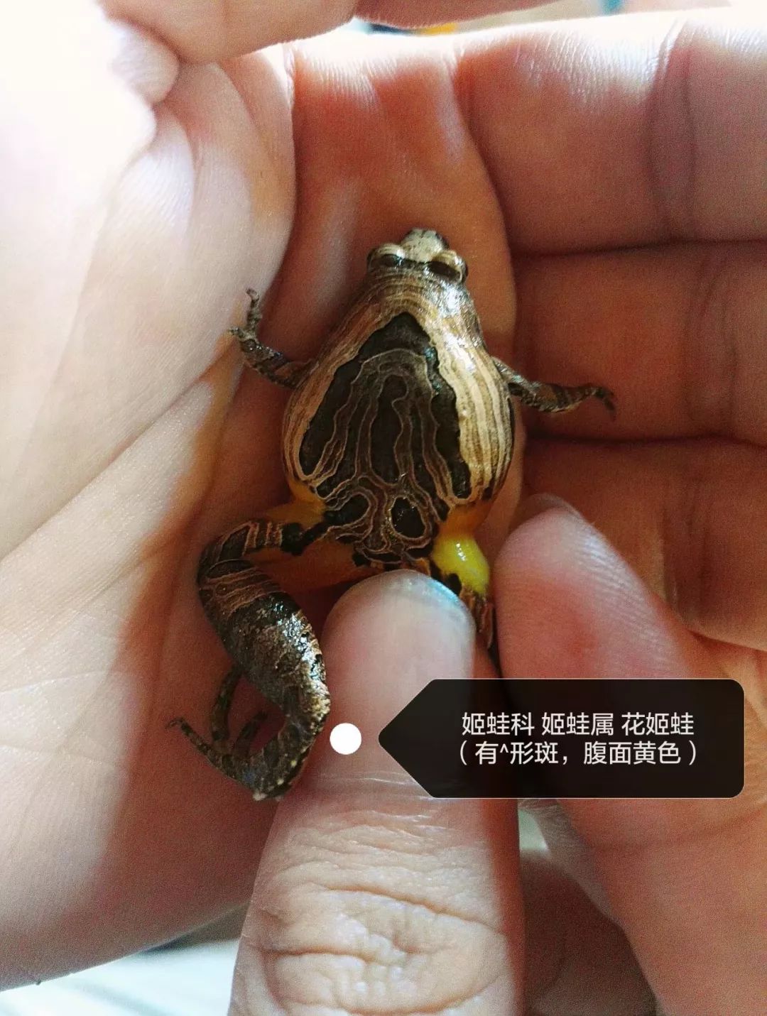 都9102年了,你还不知道海师大有这样的博物馆!