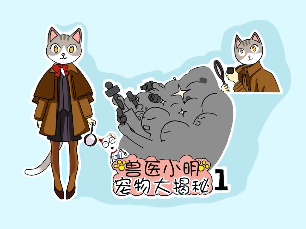 辟谣:猫咪整天在家很无聊,出门遛猫是为猫好?别再圣母心作祟了