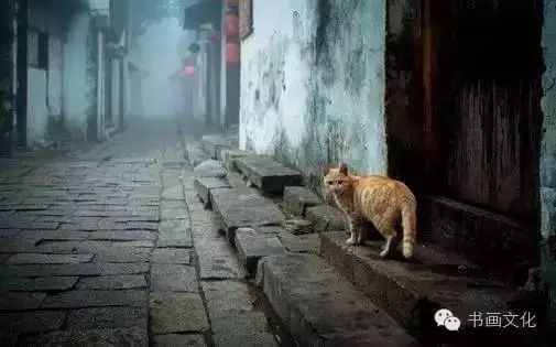 徐志摩:得之,我幸;失之,我命