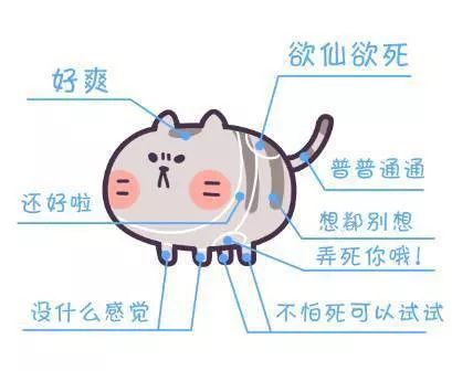 猫咪每天6点叫主人起床,因为主人的这个动作让它"上瘾"!