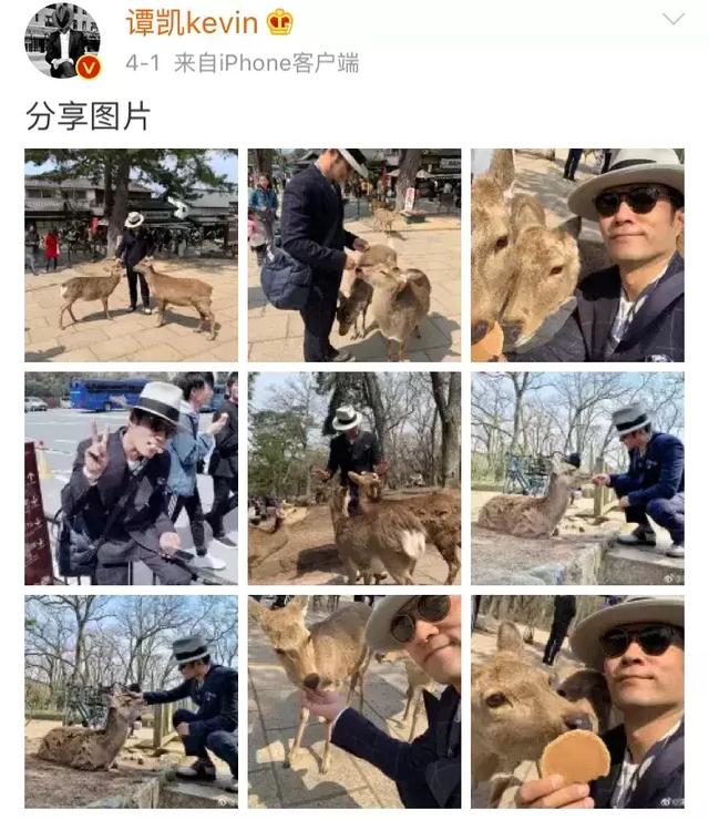 baby邓伦固然美帅,但深沉的大叔谭凯却更迷人啊