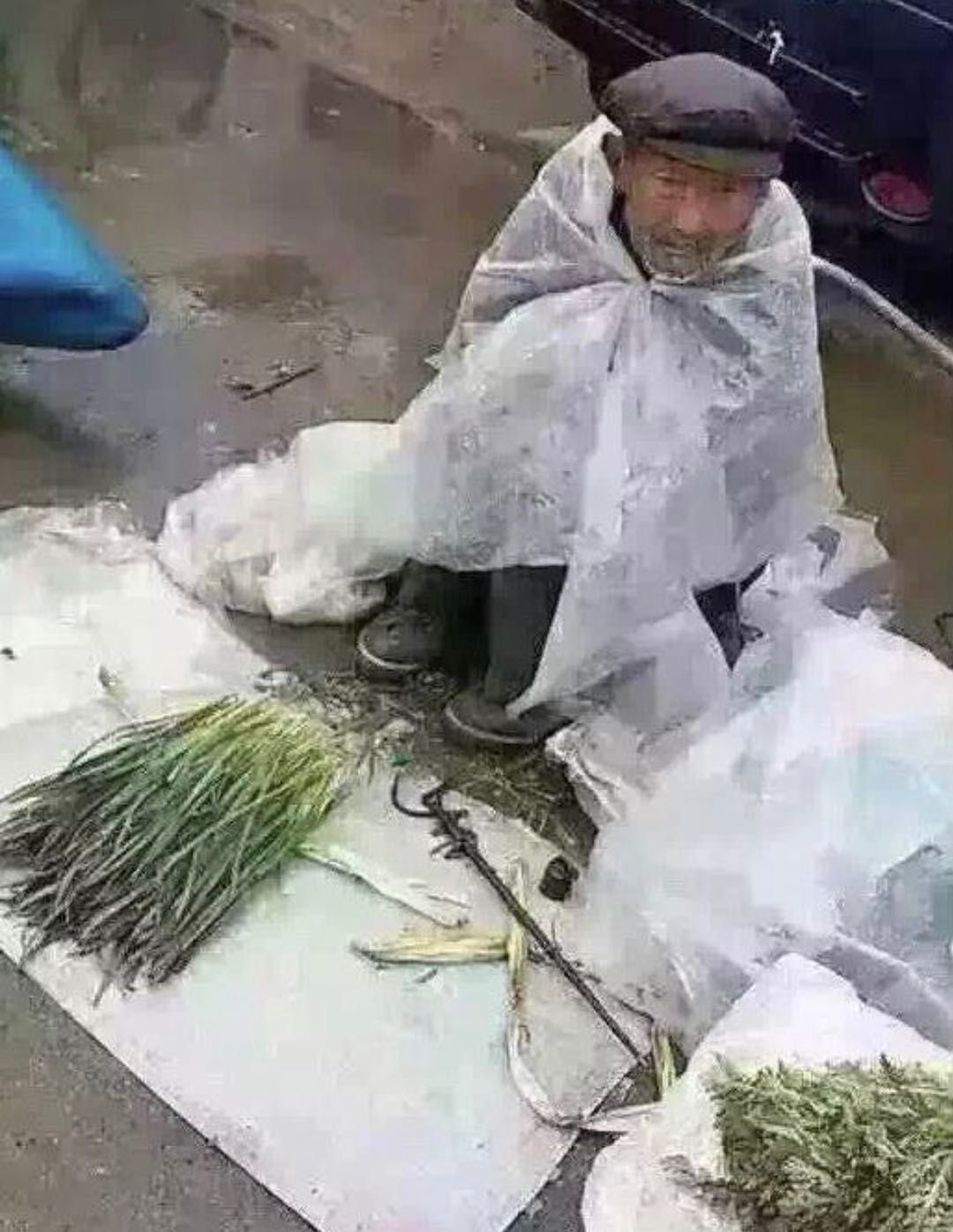 巴蜀闲人:卖菜翁说