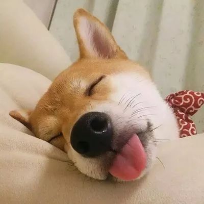 朋友圈背景图
