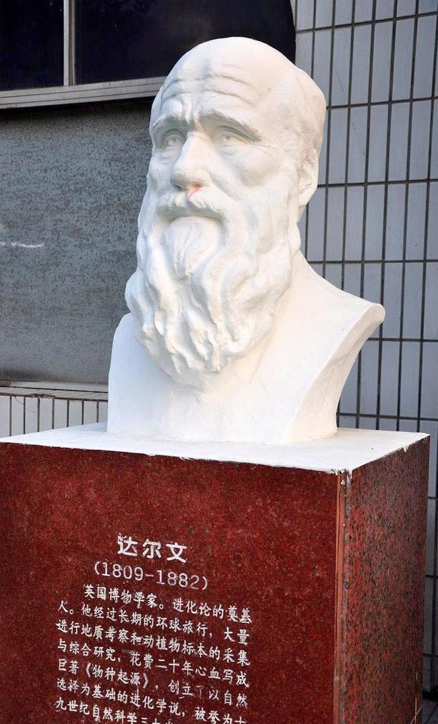 达尔文很勉励人的名言,其中2个字,值得许多人去学习一辈子