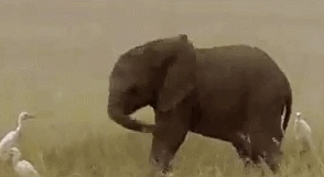 搞笑GIF:姑娘 你今天穿的裙子有点紧 怎么看起来有点怪怪的