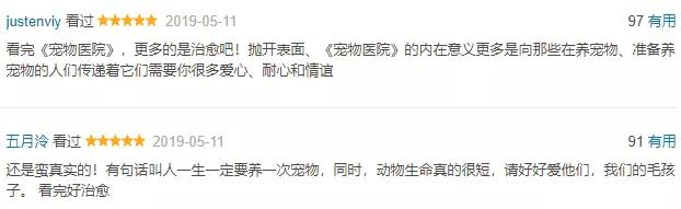 看完它,别回去撸秃了你家的猫