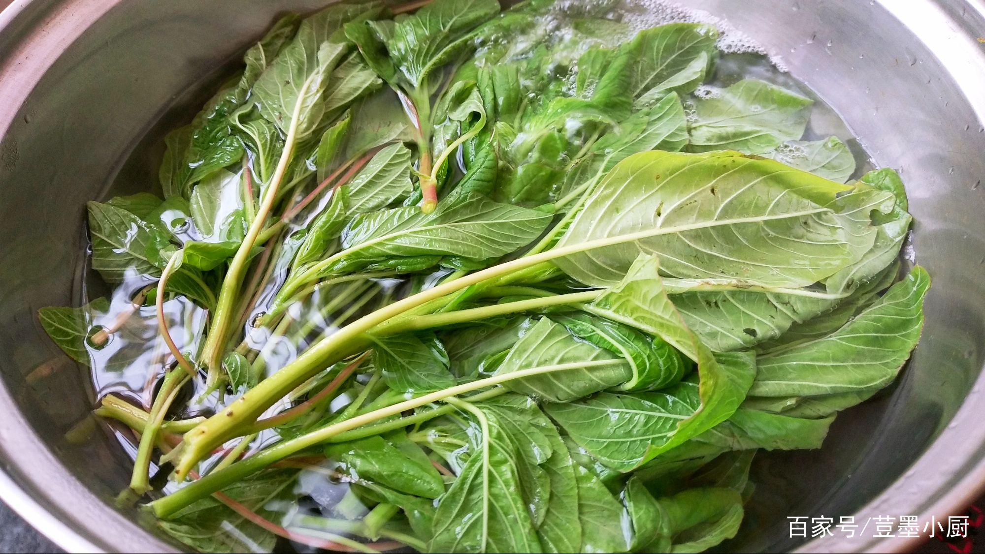 6月这菜清热除湿还补钙,用来包饺子特香,我家1周做5次没吃腻