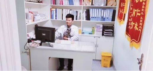 宠物医生,一个关于爱与守护的工作。