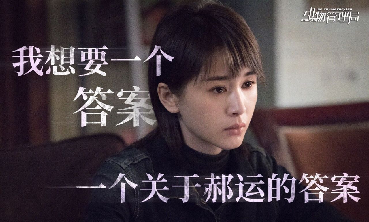 《动物管理所》陈赫的身份扑朔迷离,与反派朱雀有何关联?