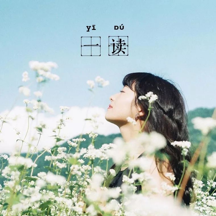 六月,把自己活成一朵莲花