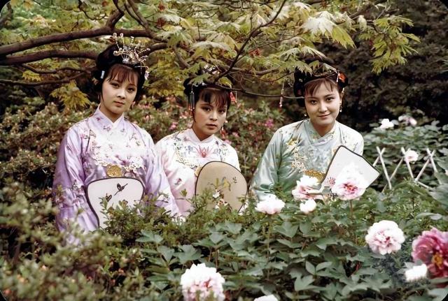 《红楼梦》里贾探春的傲慢从何而来?
