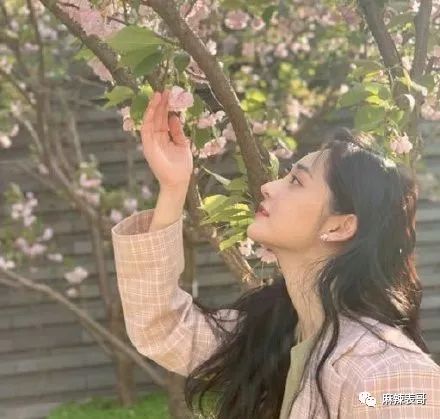 周洁琼是不是王思聪找过最低智商的女人