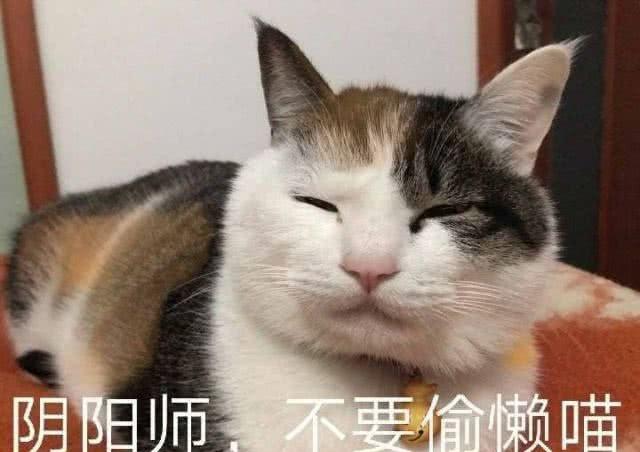 《阴阳师》大岳丸正式上线开抽 竟然还有其它新式神?