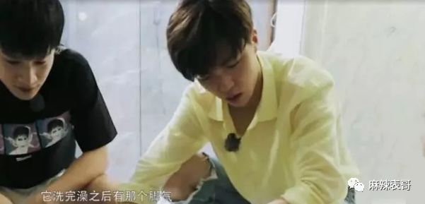 周洁琼是不是王思聪找过最低智商的女人