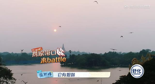 小S才是永远的小女孩,玩追人游戏和乌鸦battle,幼稚又超可爱