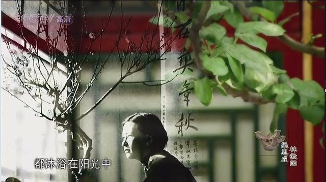 林徽因死后,61岁梁思成为何执意再娶那少妇,原来他有这个心思