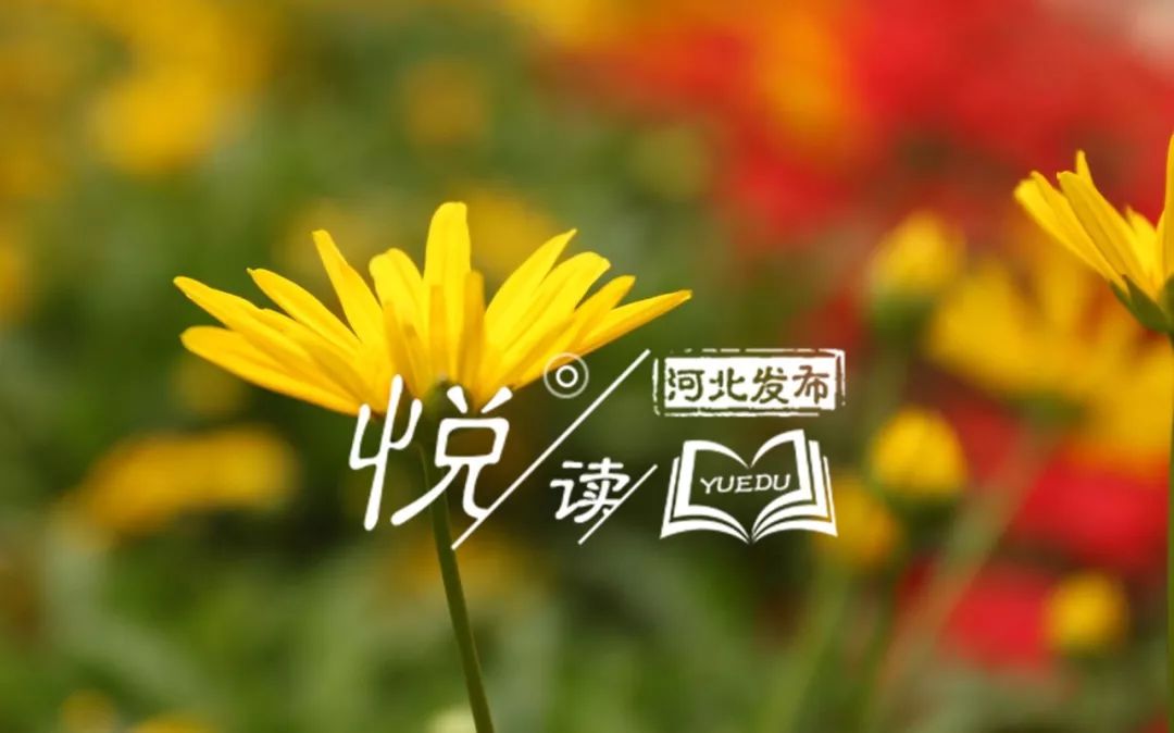 做一个不轻易垮塌的成年人