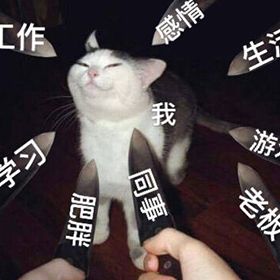 生活待你如私生子:不仅关上一扇门,还顺带夹爆你的脑子