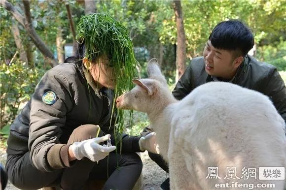 胡杏儿发文感怀出道20年,刚生二胎的她状态越来越好了!