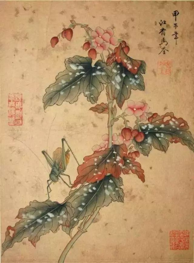 水灵毓秀,心灵手巧,才华横溢,一代佳人笔下的婉约和细腻