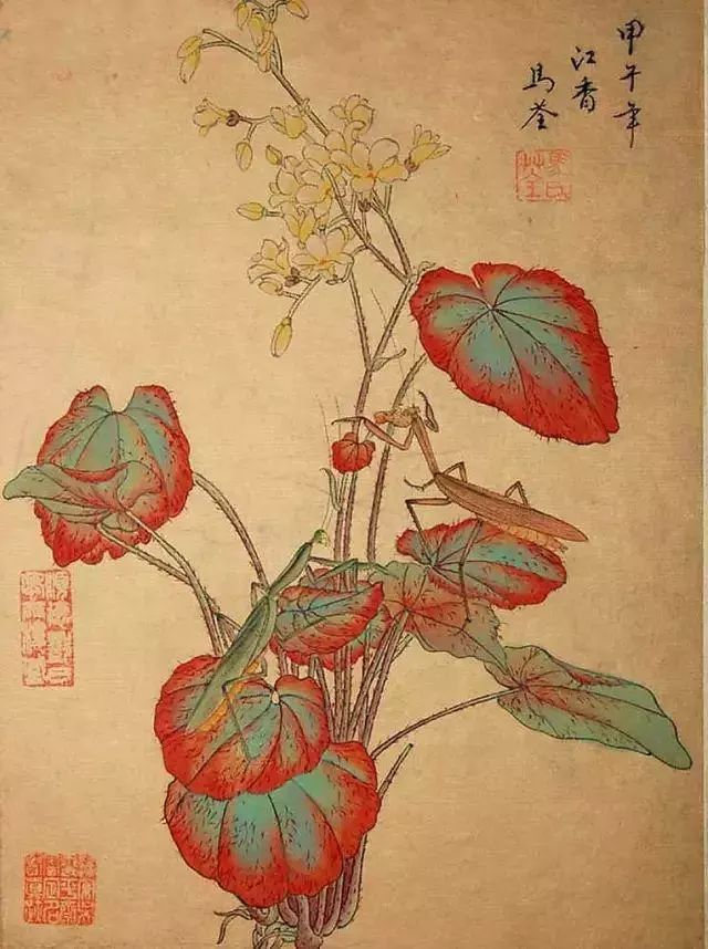 水灵毓秀,心灵手巧,才华横溢,一代佳人笔下的婉约和细腻
